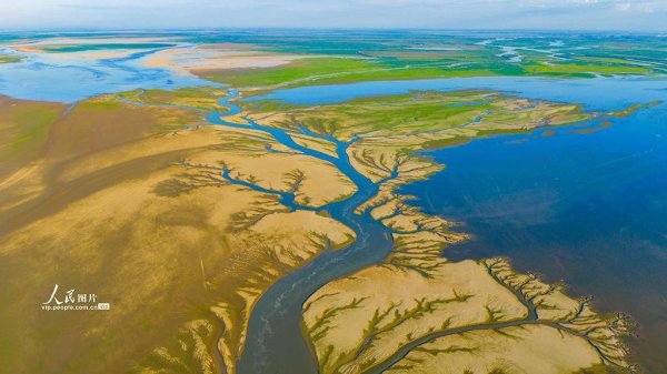 宝融配资 江西都昌：鄱阳湖现“大地之树”景观