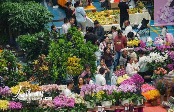 鑫旺资管 云南昆明：斗南花市鲜花俏销